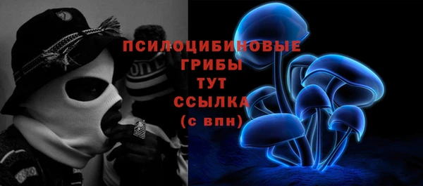бутират Касимов