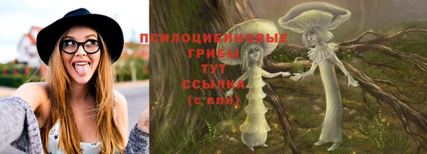 стафф Карталы